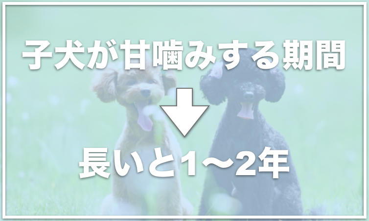 子犬のアマガミを治す方法5選 甘噛みの正しい直し方と叱り方をできてますか 愛犬と満喫ライフ 犬が飼い主を大好きに 子犬 のしつけの悩みも解決して正しいドッグフードの選び方も紹介