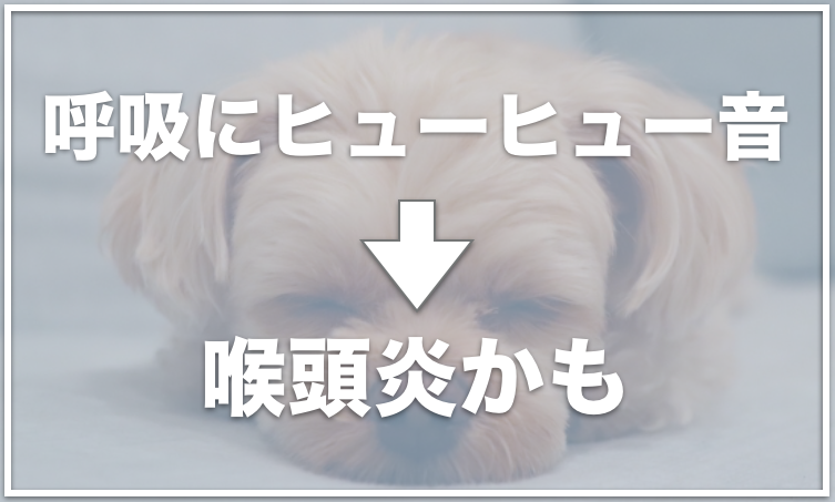 犬の呼吸がフガフガしていて心配 苦しそうなときの対処法をチェック 愛犬と満喫ライフ 犬 が飼い主を大好きに 子犬のしつけの悩みも解決して正しいドッグフードの選び方も紹介