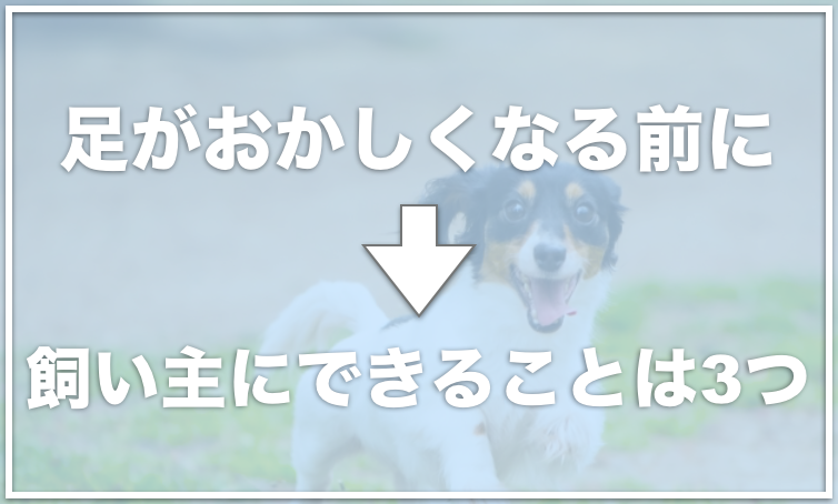 犬の異変 足に力が入らない状態で痛がらない時の対処法 老犬で急に立てない場合は要注意 愛犬と満喫ライフ 犬 が飼い主を大好きに 子犬のしつけの悩みも解決して正しいドッグフードの選び方も紹介