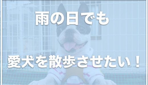 犬と雨でも散歩できる場所は大阪ではどこ？雨の日も犬とお出かけできるスポット【関西編】