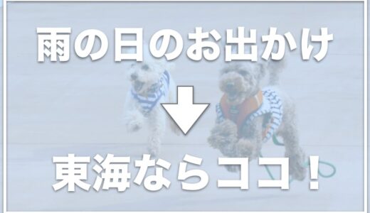 犬と雨でも散歩できる場所は愛知・名古屋でどこ？雨の日に犬とお出かけするならココ！【東海編】