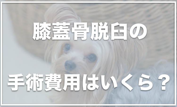 コンプリート 犬 膝蓋骨脱臼 治し方 かわいい犬のアニメ