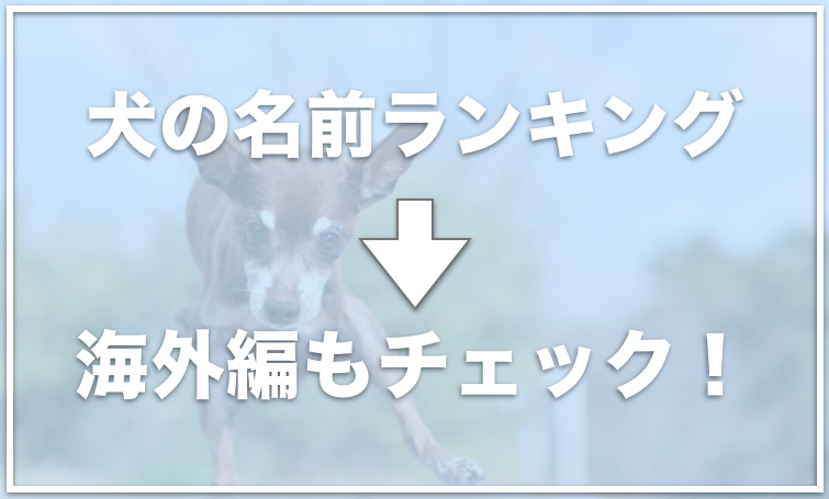 つけてはいけない犬の名前は４パターンだけ 聞き取りやすい名前で愛犬と仲良くなろう 愛犬と満喫ライフ 犬が飼い主を大好きに 子犬のしつけの 悩みも解決して正しいドッグフードの選び方も紹介