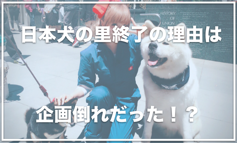 志村どうぶつ園の日本犬の里では死亡事故が起きていた 終了した理由は何 愛犬と満喫ライフ 犬 が飼い主を大好きに 子犬のしつけの悩みも解決して正しいドッグフードの選び方も紹介
