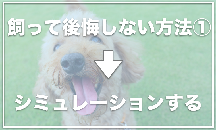 トイプードルを飼って後悔する人が続出 室内犬を飼って後悔する理由はトイレ 愛犬と満喫ライフ 犬 が飼い主を大好きに 子犬のしつけの悩みも解決して正しいドッグフードの選び方も紹介