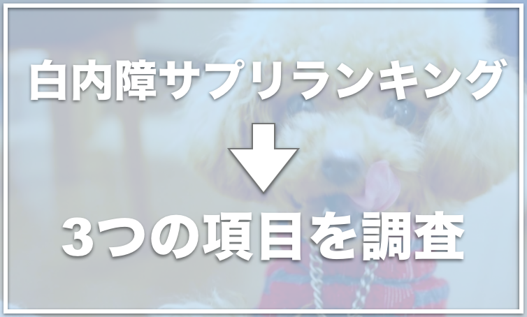 徹底比較 犬の白内障サプリランキング 全額返金保証付きで試せるサプリはコレ 愛犬と満喫ライフ 犬 が飼い主を大好きに 子犬のしつけの悩みも解決して正しいドッグフードの選び方も紹介