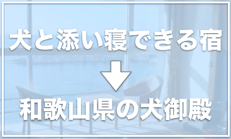 犬と添い寝できる宿はどこにある 犬と一緒に布団で寝られる宿はココ 愛犬と満喫ライフ 犬 が飼い主を大好きに 子犬のしつけの悩みも解決して正しいドッグフードの選び方も紹介