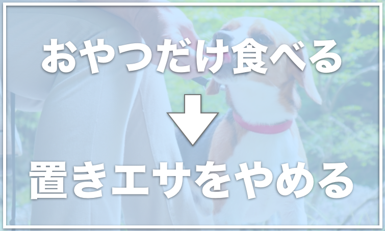 緊急 犬がご飯を食べない時の対処法は8つ おやつは食べるし 水は飲むのに の悩みを1発で解決 愛犬と満喫ライフ 犬 が飼い主を大好きに 子犬のしつけの悩みも解決して正しいドッグフードの選び方も紹介