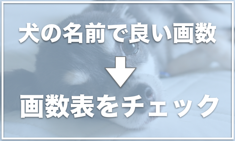 犬 の 名前 画数 Kastaro