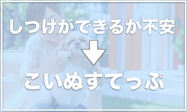 幸運を呼ぶ犬の名前はチャッピー ペットに縁起のいい名前を命名して風水も上昇 愛犬と満喫ライフ 犬 が飼い主を大好きに 子犬のしつけの悩みも解決して正しいドッグフードの選び方も紹介