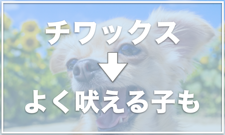 抜け毛 気持ち悪い