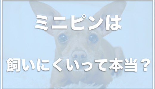 オス犬のトイレで足上げさせない方法は やめさせることはできる 去勢で足上げは治るのかも調査 愛犬と満喫ライフ 犬 が飼い主を大好きに 子犬のしつけの悩みも解決して正しいドッグフードの選び方も紹介