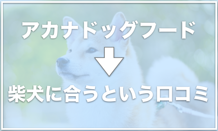 アカナドッグフードは柴犬に合うと評判 涙やけに良いのか粒の大きさも調査 愛犬と満喫ライフ 犬が飼い主を大好きに 子犬のしつけの悩みも解決して正しい ドッグフードの選び方も紹介