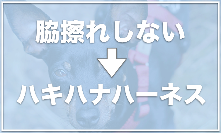 犬のハーネスで脇擦れしないものは 擦れないものでおすすめをチェック 愛犬と満喫ライフ 犬が飼い主を大好きに 子犬のしつけの悩みも解決して正しいドッグフードの選び方も紹介