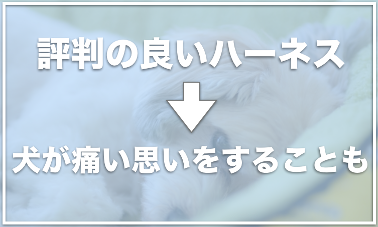 犬のハーネスで脇擦れしないものは 擦れないものでおすすめをチェック 愛犬と満喫ライフ 犬が飼い主を大好きに 子犬のしつけの悩みも解決して正しいドッグフードの選び方も紹介