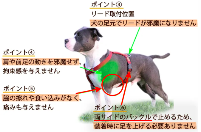 犬のハーネスで脇擦れしないものは 擦れないものでおすすめをチェック 愛犬と満喫ライフ 犬が飼い主を大好きに 子犬のしつけの悩みも解決して正しいドッグフードの選び方も紹介