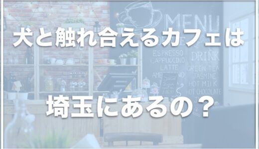 犬と触れ合えるカフェは埼玉ではココ！大宮にある保護犬カフェや人気の施設も！