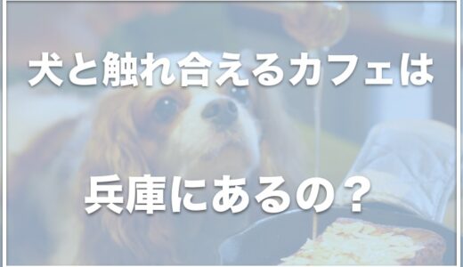 犬と触れ合えるカフェは兵庫ではこの6つ！神戸や三宮で犬と触れ合えるカフェも調査