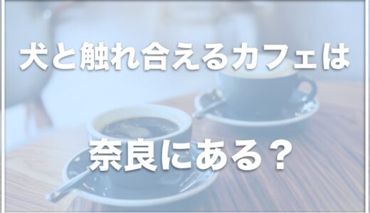 犬と触れ合えるカフェは奈良ではココ！保護犬カフェ情報も調査！