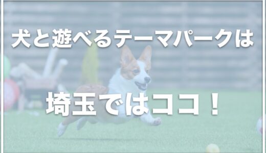 犬と遊べるテーマパークは埼玉ではココ！犬と一緒に行ける場所・遊べる施設を調査！