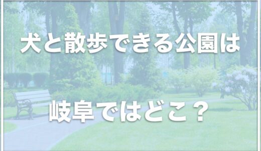犬と散歩できる公園は岐阜ではココ！犬と一緒に遊べる公園をチェック
