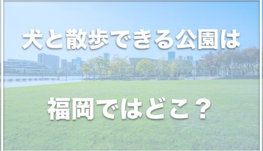 犬と散歩できる公園は福岡ではココ！犬と遊べる公園は北九州にもあるのか調査！