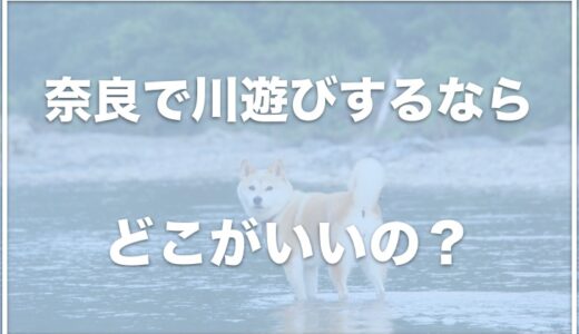 奈良で川遊びするならココ！穴場で犬と楽しみたいならこれをチェック