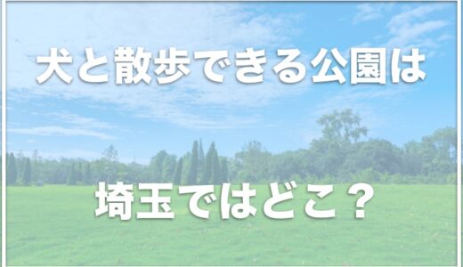 犬と散歩できる公園は埼玉ではココ！犬とお出かけしたい人はチェック