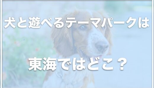 犬と遊べるテーマパークは愛知・東海ではココ！竹島水族館がペット可なのかも調査！