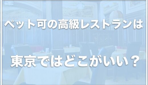 ペット可の高級レストランは東京ではココ！個室のあるレストランを東京で探している人はチェック