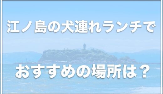 江ノ島の犬連れランチでおすすめはココ！ペット可の海鮮やしらすが食べられるお店を調査