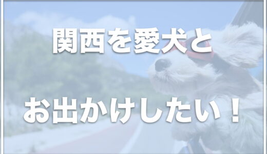 【犬とお出かけ】関西の穴場はココ！おすすめスポット11選を紹介