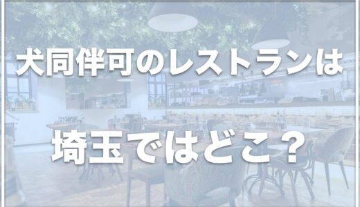 犬同伴可のレストランは埼玉ではココ！店内OKのお店が埼玉にあるかも調査！