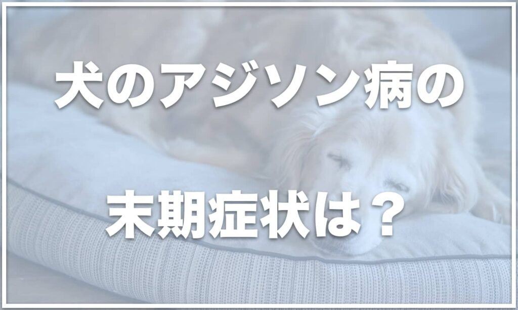 アジソン病の治療