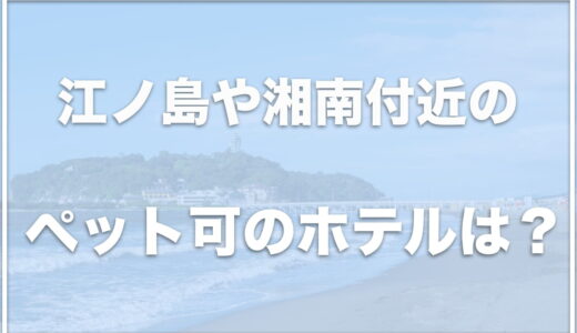 江ノ島のペット可のホテルは？湘南付近の犬と泊まれるホテルはココ！