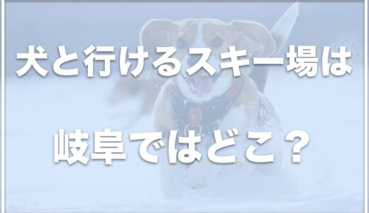 犬と行けるスキー場は岐阜ではココ！スノードッグランを楽しめる場所も紹介！