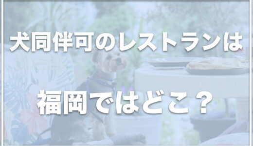 犬と一緒に入れるレストランは福岡ではココ！店内ペット同伴OKのお店も紹介！