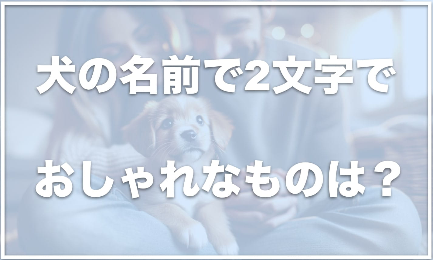 犬の名前でおしゃれかつ2文字の名前は?珍しい二文字の名前も紹介! | 愛犬と満喫ライフ