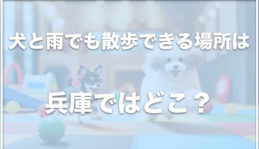 犬と雨でも散歩できる場所は兵庫ではココ！姫路の室内ドッグラン施設も紹介！