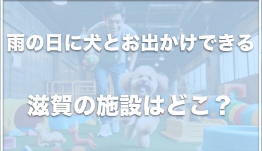 【雨の日に犬とお出かけ】滋賀の室内ドッグランがある場所はココ！それぞれのドッグランの特徴も紹介！