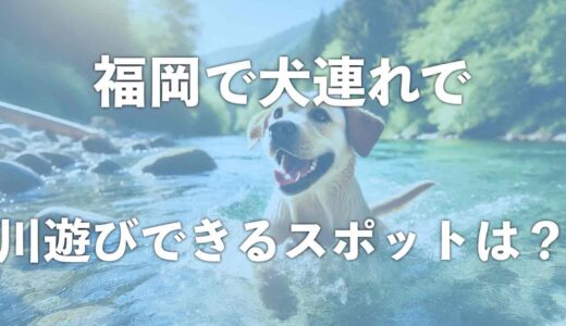 福岡で川遊びを犬と楽しむならココ！おすすめスポットや綺麗な川を紹介！