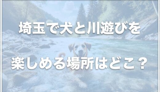 犬と川遊びするなら埼玉ではココ！道の駅やキャンプ場・公園を紹介！