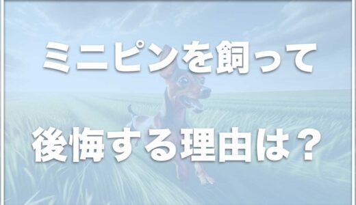 ミニチュアピンシャーを飼って後悔！？飼いにくいし大変？頭が悪いは本当か調査！